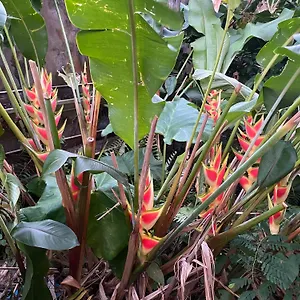 https://la-porte-du-paradis.comcaribbean.com